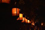 Những chiếc đèn lồng soi lối thiền hành dẫn đến Vườn Bụt